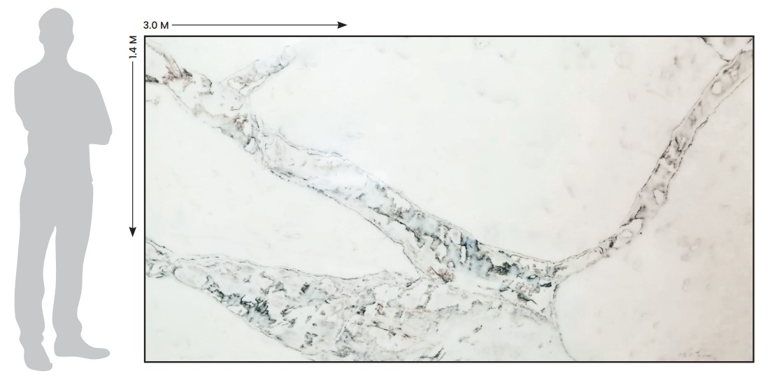 Calacatta Retro Slab Comparison
